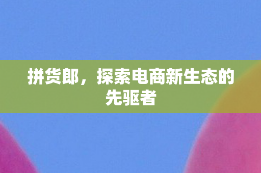 拼货郎，探索电商新生态的先驱者