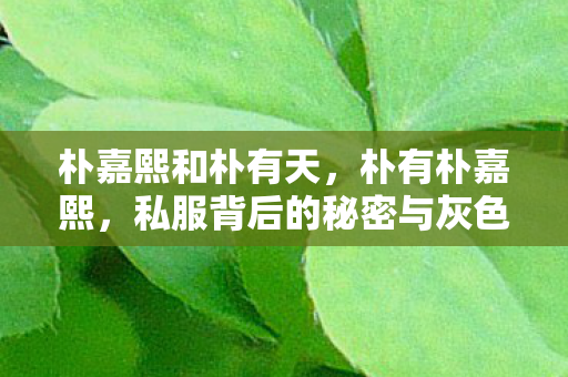 朴嘉熙和朴有天，朴有朴嘉熙，私服背后的秘密与灰色产业链