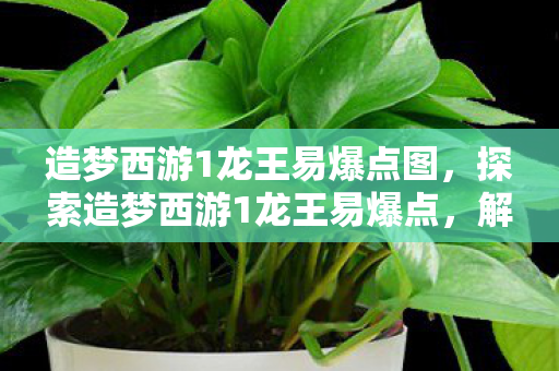 造梦西游1龙王易爆点图，探索造梦西游1龙王易爆点，解锁隐藏宝藏的秘诀