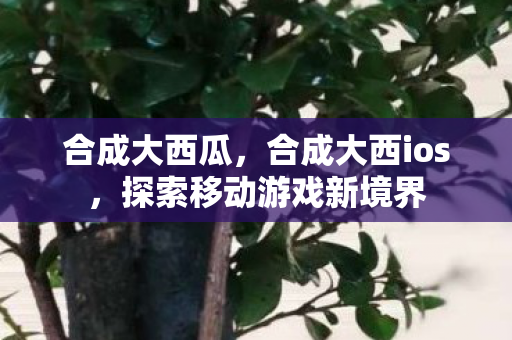 合成大西瓜，合成大西ios，探索移动游戏新境界