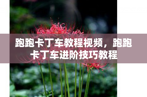 跑跑卡丁车教程视频，跑跑卡丁车进阶技巧教程