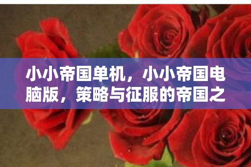 小小帝国单机，小小帝国电脑版，策略与征服的帝国之旅