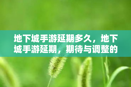 地下城手游延期多久，地下城手游延期，期待与调整的交织