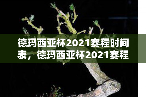 德玛西亚杯2021赛程时间表，德玛西亚杯2021赛程时间公布，精彩对决即将上演