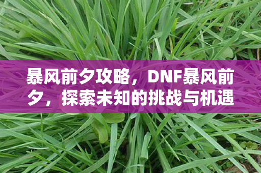 暴风前夕攻略，DNF暴风前夕，探索未知的挑战与机遇