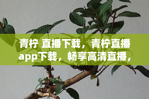 青柠 直播下载，青柠直播app下载，畅享高清直播，尽在掌握