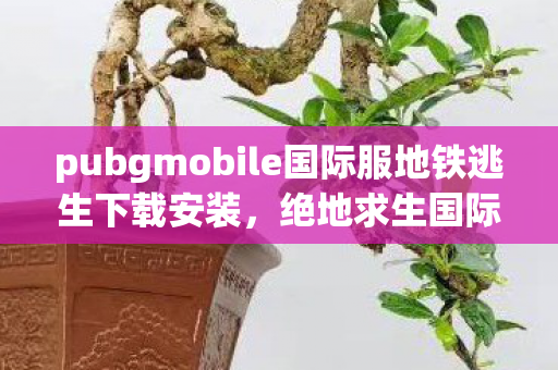 pubgmobile国际服地铁逃生下载安装，绝地求生国际服地铁逃生下载指南