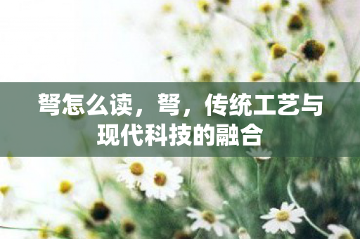 弩怎么读，弩，传统工艺与现代科技的融合