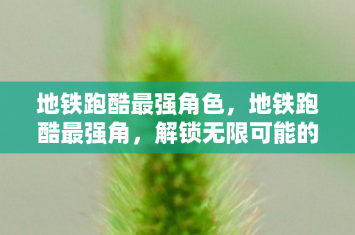 地铁跑酷最强角色，地铁跑酷最强角，解锁无限可能的跑酷技巧