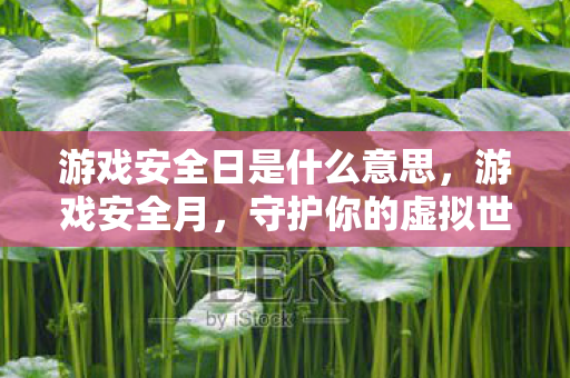 游戏安全日是什么意思，游戏安全月，守护你的虚拟世界，共筑安全防线