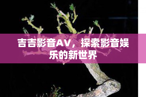吉吉影音AV,探索影音娱乐的新世界 吉吉影音AV,探索影音娱乐的新世界