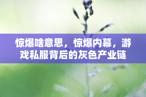 惊爆啥意思，惊爆内幕，游戏私服背后的灰色产业链