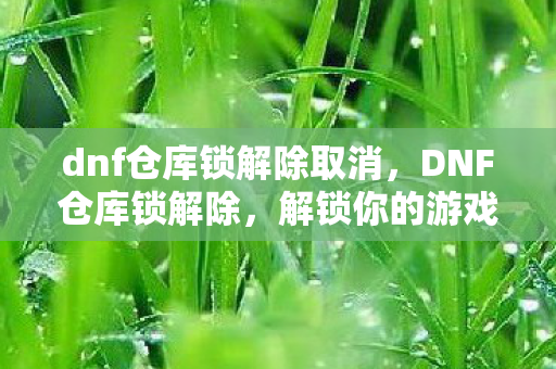 dnf仓库锁解除取消，DNF仓库锁解除，解锁你的游戏财富