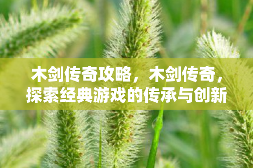 木剑传奇攻略，木剑传奇，探索经典游戏的传承与创新