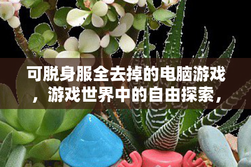 可脱身服全去掉的电脑游戏，游戏世界中的自由探索，体验梦幻西游的无限可能