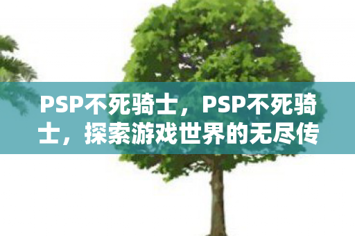 PSP不死骑士，PSP不死骑士，探索游戏世界的无尽传奇