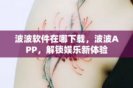 波波软件在哪下载，波波APP，解锁娱乐新体验