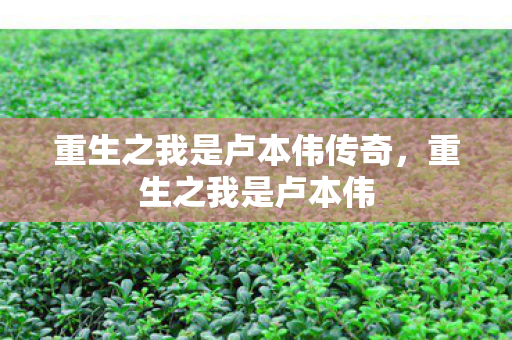 重生之我是卢本伟传奇，重生之我是卢本伟