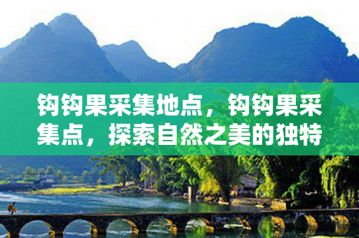 钩钩果采集地点，钩钩果采集点，探索自然之美的独特方式