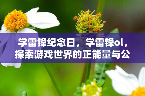 学雷锋纪念日，学雷锋ol，探索游戏世界的正能量与公益精神