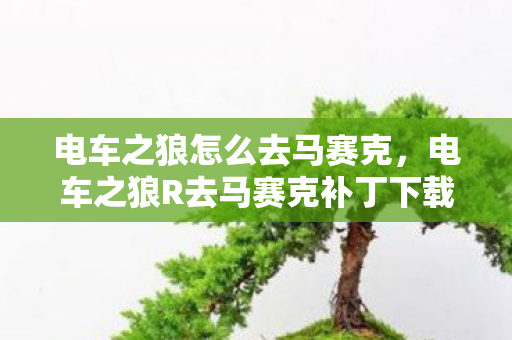 电车之狼怎么去马赛克，电车之狼R去马赛克补丁下载，安全、合法、高效的解决方案