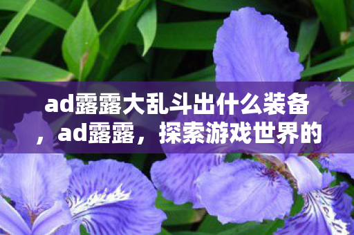 ad露露大乱斗出什么装备，ad露露，探索游戏世界的多元体验
