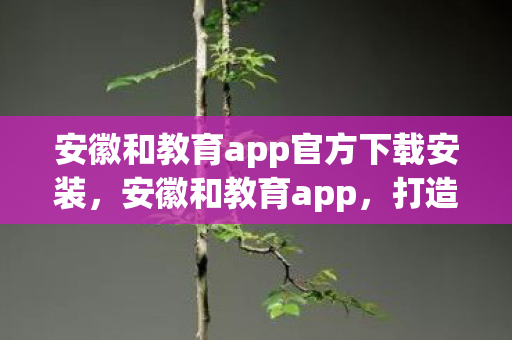 安徽和教育app官方下载安装，安徽和教育app，打造智慧教育新生态
