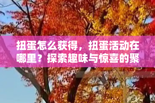 扭蛋怎么获得，扭蛋活动在哪里？探索趣味与惊喜的聚集地