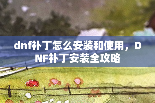 dnf补丁怎么安装和使用，DNF补丁安装全攻略