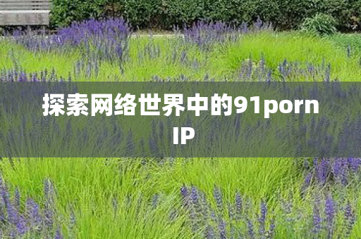 探索网络世界中的91porn IP