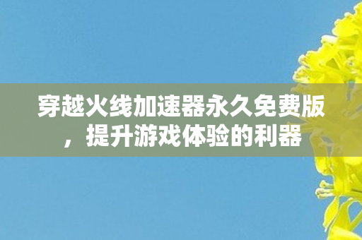 穿越火线加速器永久免费版，提升游戏体验的利器