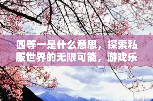 四等一是什么意思，探索私服世界的无限可能，游戏乐趣的新维度