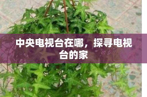 中央电视台在哪，探寻电视台的家