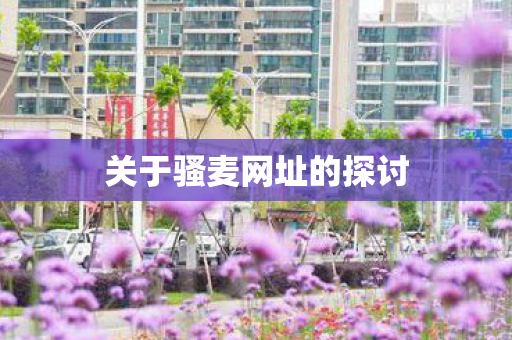 关于骚麦网址的探讨 关于骚麦网址的探讨