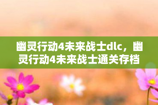 幽灵行动4未来战士dlc，幽灵行动4未来战士通关存档，未来战场的荣耀与遗产