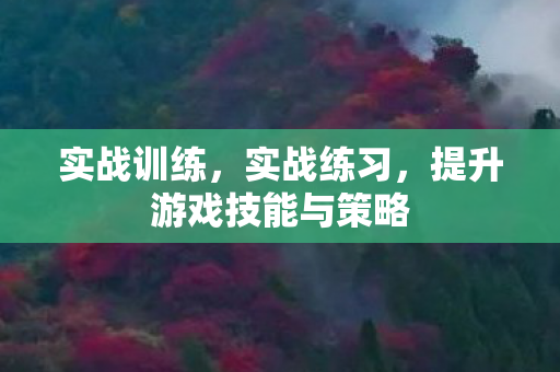 实战训练，实战练习，提升游戏技能与策略