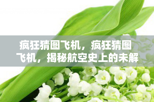 疯狂猜图飞机，疯狂猜图 飞机，揭秘航空史上的未解之谜