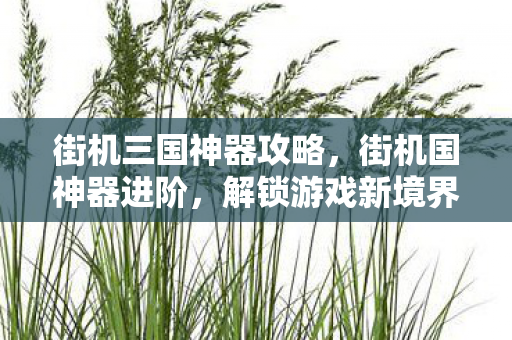 街机三国神器攻略，街机国神器进阶，解锁游戏新境界
