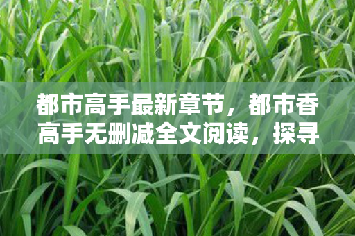 都市高手最新章节，都市香高手无删减全文阅读，探寻都市中的隐秘高手