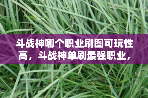 斗战神哪个职业刷图可玩性高，斗战神单刷最强职业，选择、技巧与攻略
