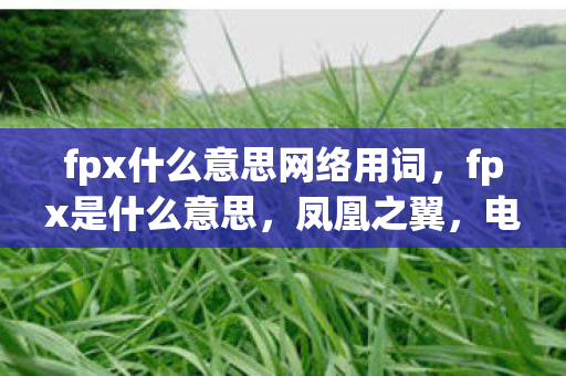 fpx什么意思网络用词，fpx是什么意思，凤凰之翼，电竞新纪元