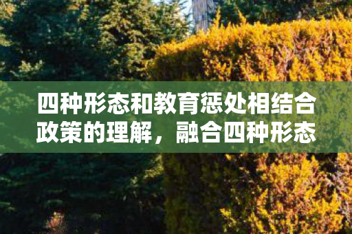 四种形态和教育惩处相结合政策的理解，融合四种形态与教育惩处的创新治理路径