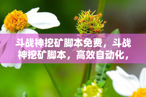 斗战神挖矿脚本免费，斗战神挖矿脚本，高效自动化，提升游戏体验
