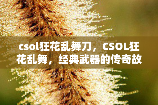 csol狂花乱舞刀，CSOL狂花乱舞，经典武器的传奇故事