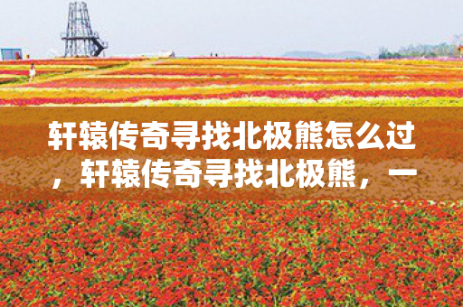 轩辕传奇寻找北极熊怎么过，轩辕传奇寻找北极熊，一场跨越时空的冒险之旅