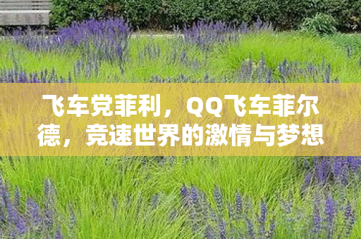 飞车党菲利，QQ飞车菲尔德，竞速世界的激情与梦想