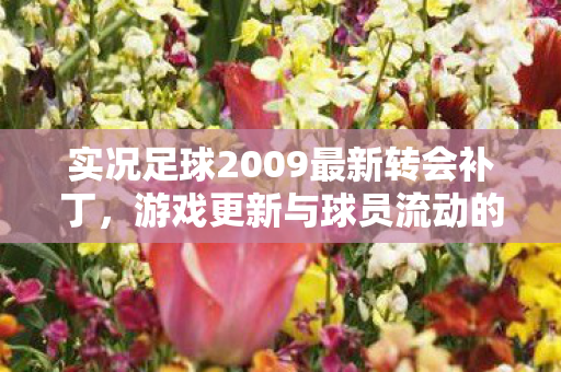 实况足球2009最新转会补丁，游戏更新与球员流动的新篇章