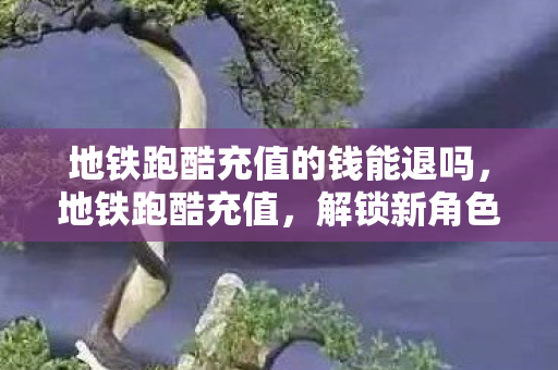 地铁跑酷充值的钱能退吗，地铁跑酷充值，解锁新角色与道具的正确方式