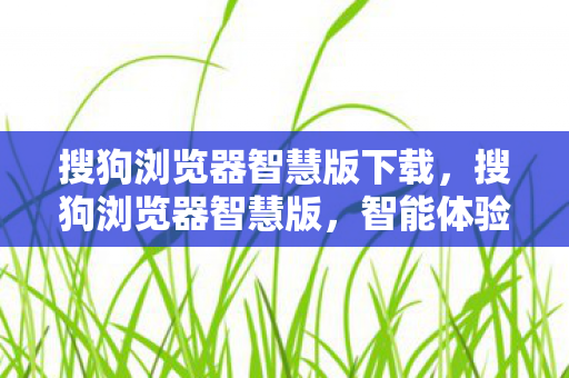 搜狗浏览器智慧版下载，搜狗浏览器智慧版，智能体验，安全浏览