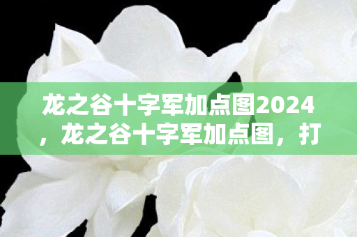 龙之谷十字军加点图2024，龙之谷十字军加点图，打造最强战士的攻略